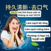 set-3-tuyp-kem-danh-rang-lam-trang-rang-c24112006
