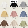 ao-giu-nhiet-chinh-hang-babycity-m23112007