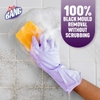 dung-dich-tay-rua-cillit-bang-so-1-eu-m24062901
