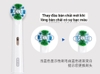 combo-2-4-dau-ban-chai-oral-b-eb20-n230780208