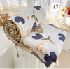 chan-he-189k-1c-c23081303
