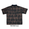 Pine Forest