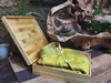 HỘP QUÀ TẶNG ÁO DÀI KT23x23CM