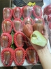 Roi (mận) An Phước