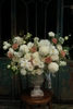 WhiteMuse