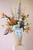 Birds of Paradise