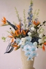 Birds of Paradise