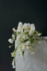 Calla