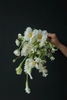 Calla