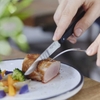 Opinel Bộ Dao Ăn Cắm Trại Opinel Bon Appetit Pro Polymer N125
