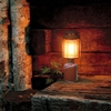 Snowpeak Đèn Măng Xông Cắm Trại Du Lịch Gigapower Bf Lantern