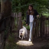 Ledlenser P5 Core Đèn Pin Cắm Trại