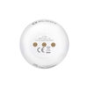 Olight Obulb MCS Đèn Pin Cắm Trại