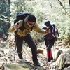 Naturehike Gậy Hiking Gậy Leo Núi Hiking Sợi Carbon Siêu Nhẹ CNK2450DS012