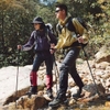 Naturehike Gậy Hiking Gậy Leo Núi Hiking Sợi Carbon Siêu Nhẹ CNK2450DS012