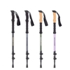 BLACKDOG Bộ 2 Gậy Leo Núi Hợp Kim Nhôm Rút Gọn - 135cm
