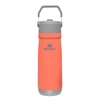 Bình Giữ Nhiệt Cắm Trại Stanley Insulated Iceflow Flip Straw Water Bottle 650Ml