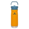 Bình Giữ Nhiệt Cắm Trại Stanley Insulated Iceflow Flip Straw Water Bottle 650Ml