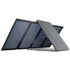 EcoFlow Tấm Pin Năng Lượng Mặt Trời Dã Ngoại 220W Bifacial Solar Panel