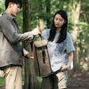Naturehike NH21YW125 Túi Đựng Đèn Gas Cắm Trại Vải Canvas - Nâu Đen -
