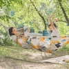 Naturehike NH21DC004 Võng dã ngoại Anti Rollover Hammock