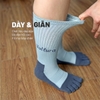 Vultura Vớ Trekking 5 Ngón Chân Coolmax Cổ Cao 5-toe Socks VTR-SC2501