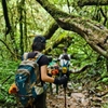 YUZI- Usual 40L Balo Leo Núi Dã Ngoại 40 Lít Trợ Lực Kháng Nước – Version 2