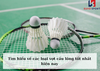 Tổng hợp các loại vợt cầu lông tốt nhất hiện nay