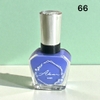 66