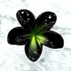 Xanh lá