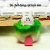 Bắp cải
