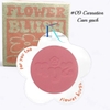 #09 Carnation