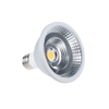 PAR LAMP