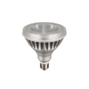 PAR LAMP