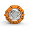 Lighting-Golden Frog Explosion-proof LED High Bay Light
