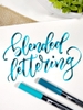 Sakura Koi & Tombow Dual Brush – Loại nào tốt hơn?