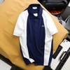 Polo Cá Sấu