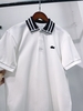 Polo Cá Sấu