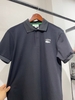 Polo Cá Sấu