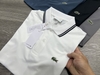 Polo Lascote Basic