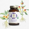 PURE SYNERGY STRESS REMEDY