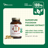 PURE SYNERGY SUPERPURE FUCOIDAN ORGANIC EXTRACT