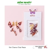 Set Trang Trí Móng Chai Rượu