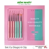 Set Cọ Dingxi 6 Cây