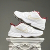 SZ44 Nike Air Monarch IV 'Year Of The Snake' IB4607-171 076580