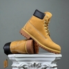 SZ39.5 Timberland 6 Inch Premium Waterproof Boot 'Wheat' 066041