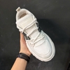 SZ41 Palladium Chunky 