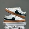 SZ42.5 Nike Blazer Low '77 Jumbo 'Sail Pro Green Gum' DR9865-101 056280