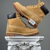 SZ39.5 Timberland 6 Inch Premium Waterproof Boot 'Wheat' 046303