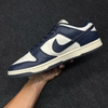 SZ44 Nike Dunk Low Next Nature 'Olympic' FZ6770-001 095738